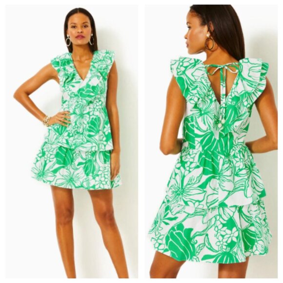 Lilly Pulitzer Ritamarie V-neck Cotton Ruffle Mini Fit & Flare Dress - NWT - 4 - Picture 1 of 12